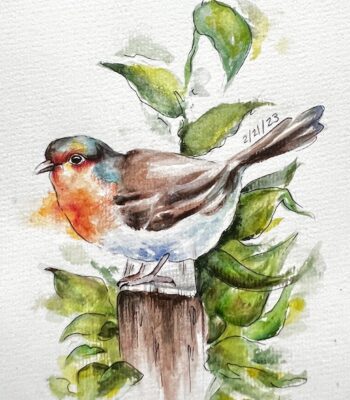 bird-watercolor-2023