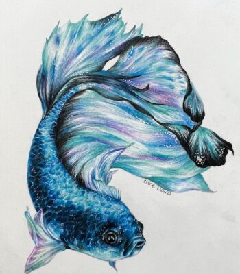 fish-drawing-2021