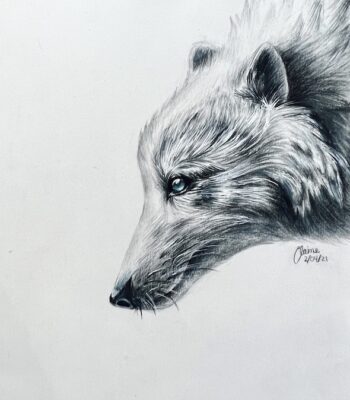 wolf-drawing-2021