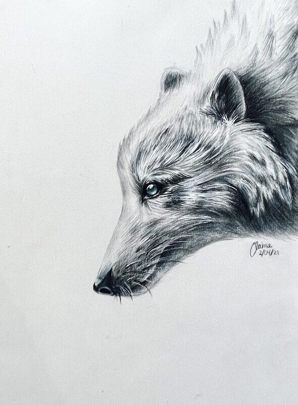 wolf-drawing-2021